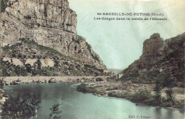 *CPA  - 34 - SAINT BAUZILLE DE PUTOIS - Les Gorges Dans La Vallée De L'Hérault - Otros & Sin Clasificación