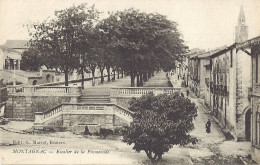 *CPA  - 34 - MONTAGNAC - Escalier De La Promenade (B) - Montagnac