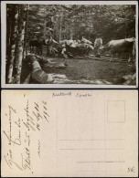 Berufe Holzfäller Mit Familie Und Ochsengespann Im Wald 1916 Privatfoto - Unclassified