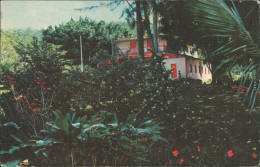 Ansichtskarte Pinar Del Río San Vicente 1955 - Kuba