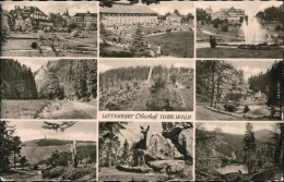 Oberhof Thüringen Kuranlagen, Kurpark Mit Freiluftbühne G1957 - Oberhof