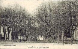 *CPA - 34 - LODEVE - L'esplanade - Lodeve