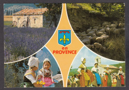 103691/ PROVENCE - Provence-Alpes-Côte D'Azur