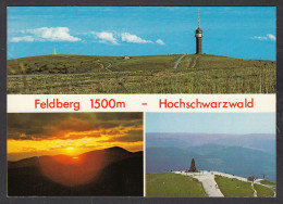 106044/ Der Feldberg - Feldberg