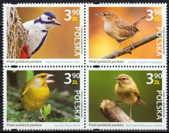 Poland / Polen - Postfris / MNH - Complete Set Birds 2024 - Unused Stamps