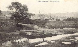 *CPA - 83 - BRIGNOLES - Vue Générale - Brignoles