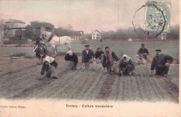 TOP CROISSY SUR SEINE CULTURE MARAICHERE - Croissy-sur-Seine