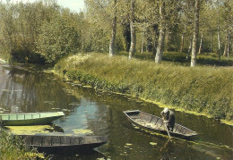 *CPM - 79 - Les DEUX SEVRES - Le Marais Poitevin Aux Environs D'ARCAIS - Barques - Sonstige & Ohne Zuordnung