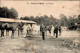 N°1781 W -cpa Camp De Mailly -le Pansage- - Caballos