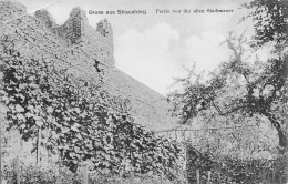 Strausberg (Mark) Partie Von Der Alten Stadtmauer Ngl #168.038 - Otros & Sin Clasificación