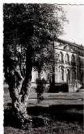 ECHTERNACH - Musée De L'Abbaye - Echternach