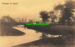 R606756 Paysage En Egypte. Serie 208. Cairo Postcard Trust - Wereld