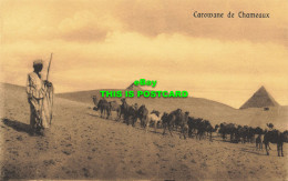 R606758 Carowane De Chameaux. Serie 208. Cairo Postcard Trust - Wereld