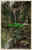 R607690 Shanklin Chine Showing Both Falls. Postcard. 1937 - World