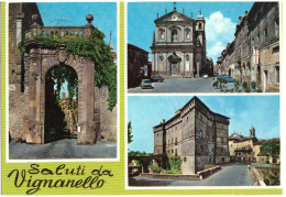 1971 VIGNANELLO 4 SALUTI DA   VITERBO - Viterbo