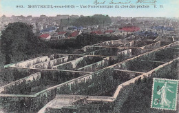 Montreuil  -  Vue Panoramique Du Clos Des Peches  -  CPA °J - Montreuil