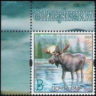 Transnistria 2024 "Year Of The Dark Elk" 1v Perforated Quality:100% - Moldawien (Moldau)