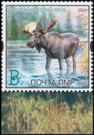 Transnistria 2024 "Year Of The Dark Elk" 1v Perforated Quality:100% - Moldawien (Moldau)