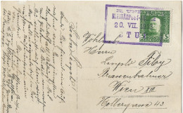 Bosnia-Herzegovina/Austria-Hungary, Picture Postcard-year 1913, Auxiliary Post Office/Ablage STUP, Type B1 (VIOLET) - Bosnie-Herzegovine