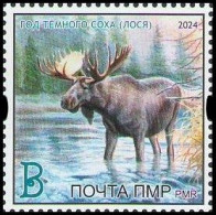 Transnistria 2024 "Year Of The Dark Elk" 1v Perforated Quality:100% - Moldavie