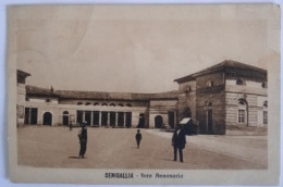 MARCHE-SENIGALLIA-CARTOLINA-FORO ANNONARIO (Leggera Pieghetta) - Senigallia