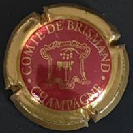 275 - 1 - Comte De Brismand, Rouge, Contour Or (côte 1,5 €) Capsule De Champagne - Autres & Non Classés