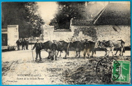 CPA 78 SOINDRES - Entrée De La Grande Ferme, LES BOEUFS * Cliché Petit - Otros & Sin Clasificación