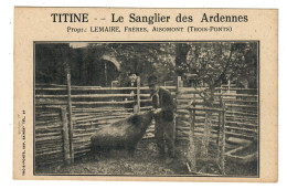 Aisomont  Wanne  Trois-Ponts    Titine Le Sanglier Des Ardennes   Propr Lemaire Frères - Trois-Ponts