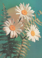 FLOWERS Vintage Postcard CPSM #PAR698.A - Fleurs