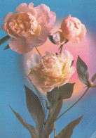 FLOWERS Vintage Ansichtskarte Postkarte CPSM #PAR422.A - Fleurs