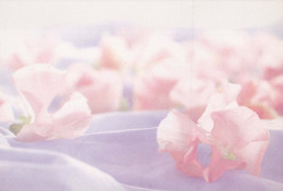 FLOWERS Vintage Postcard CPSM #PAR323.A - Fleurs