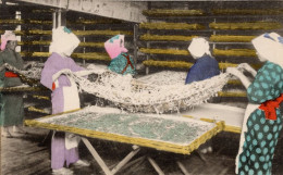 Japan Tokyo Silk Worms Taking Their Third Sleep Silkworm Old Postcard - Other & Unclassified