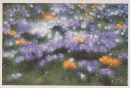 FLOWERS Vintage Postcard CPSM #PBZ284.A - Fleurs