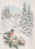 UCCELLO Animale Vintage Cartolina CPSM #PAN099.A - Birds
