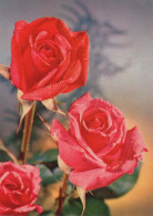 FIORI Vintage Cartolina CPSM #PAR970.A - Flowers