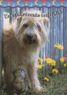 DOG Animals Vintage Postcard CPSM #PAN902.A - Chiens