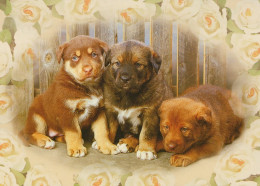 PERRO Animales Vintage Tarjeta Postal CPSM #PAN638.A - Dogs