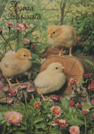 PÂQUES POULET ŒUF Vintage Carte Postale CPSM #PBO594.A - Easter