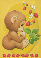 MONKEY Animals Vintage Postcard CPSM #PBR979.A - Scimmie