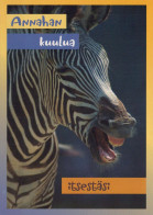 ZÈBRE Animaux Vintage Carte Postale CPSM #PBR932.A - Zebras