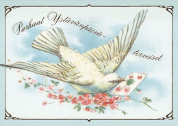 OISEAU Animaux Vintage Carte Postale CPSM #PBR572.A - Uccelli