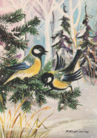 VOGEL Tier Vintage Ansichtskarte Postkarte CPSM #PBR513.A - Pájaros