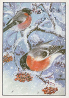 PÁJARO Animales Vintage Tarjeta Postal CPSM #PBR510.A - Birds