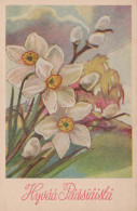FLOWERS Vintage Postcard CPA #PKE261.A - Fleurs