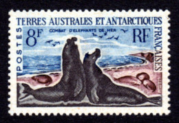 T.A.A.F. 1959-1963 - Yvert N° 13C - Neuf ** / MNH - Faune, éléphant De Mer - Unused Stamps