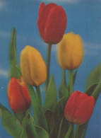 FLOWERS LENTICULAR 3D Vintage Ansichtskarte Postkarte CPSM #PAZ174.A - Flores