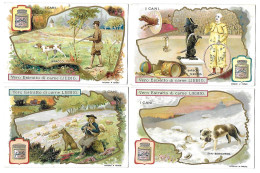 S 805, Liebig 6 Cards, I Cani 2e (Italian) (ref B20) - Liebig