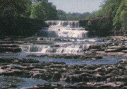 Aysgarth Falls, Wensleydale, Yorkshire -  Unused Postcard -  Uk44 - Sonstige & Ohne Zuordnung