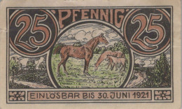 25 PFENNIG 1921 Stadt WINSEN Hanover UNC DEUTSCHLAND Notgeld Banknote #PC341 - [11] Lokale Uitgaven