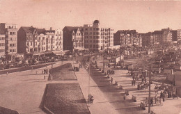 KNOCKE / ZOUTE - Albert Plage -  La Digue Et La Plage - Knokke